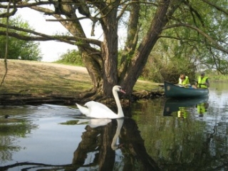 Sunday Wildlife Paddle